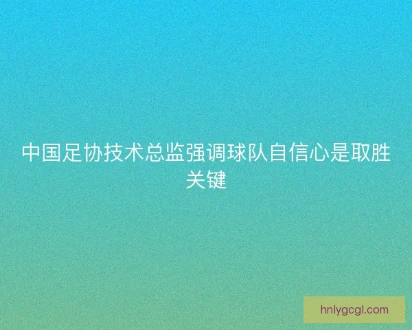 中国足协技术总监强调球队自信心是取胜关键