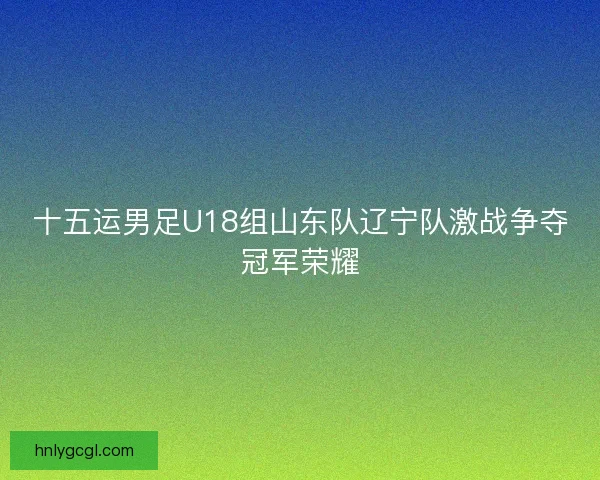 十五运男足U18组山东队辽宁队激战争夺冠军荣耀
