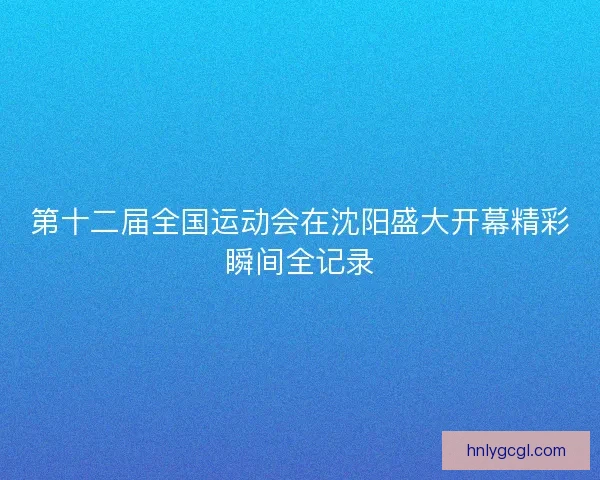 第十二届全国运动会在沈阳盛大开幕精彩瞬间全记录